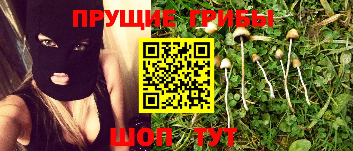 Галлюциногенные грибы прущие грибы Краснодар