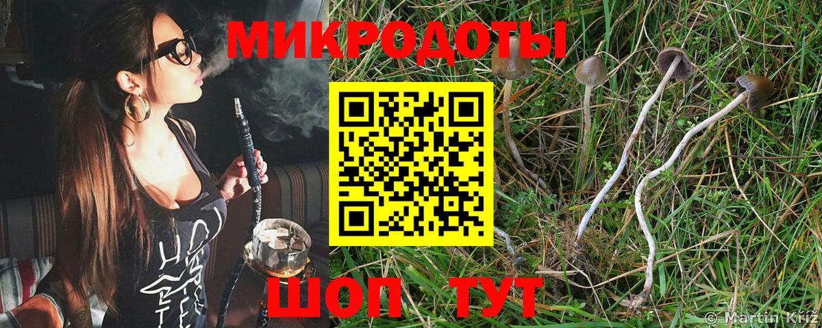 Псилоцибиновые грибы MAGIC MUSHROOMS  Вход с VPN  Псилоцибиновые грибы прущие грибы  Краснодар 